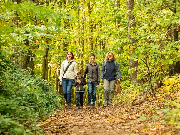 Wanderer auf dem Keschdeweg