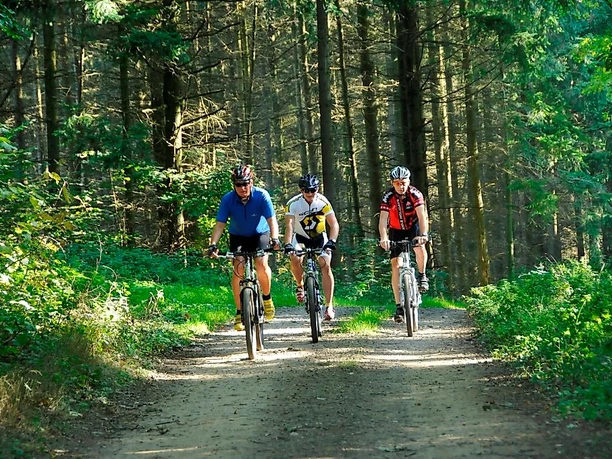 Unterwegs auf MTB Trails im Sankt Wendeler Land