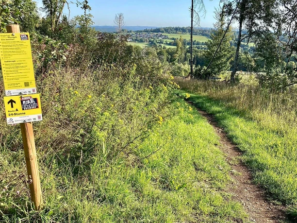 MTB BikePark Driedorf 2
