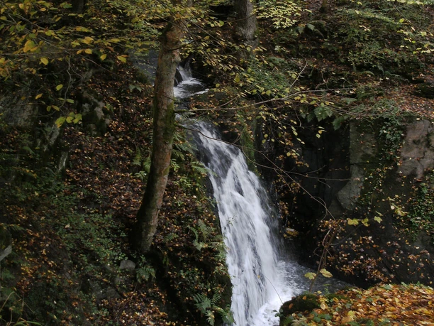 Erlebnisweg Tal der wilden Endert