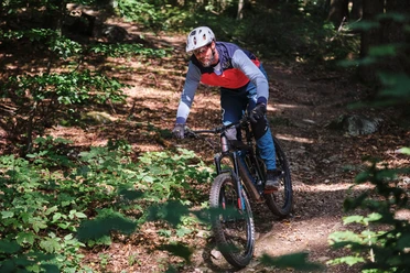 Mountainbiker im Wald auf Abfahrt