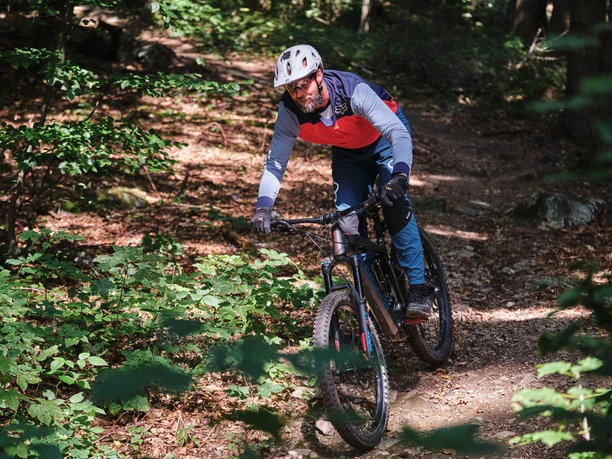 Mountainbiker im Wald auf Abfahrt