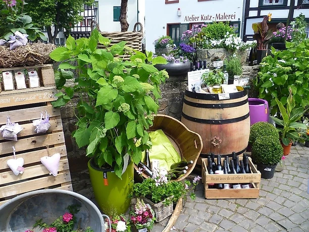 Kräutertag-Impression