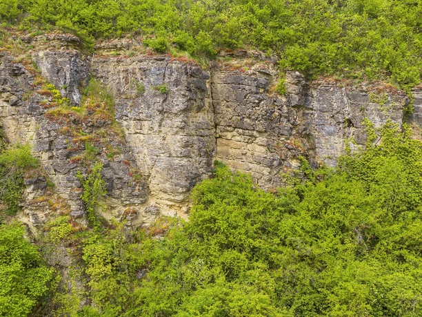 Leuchtpunkt Nitteler Fels (3)