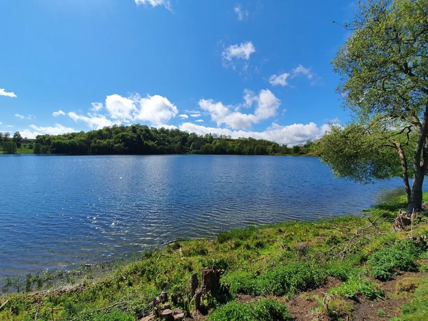 Das Schalkenmehrener Maar