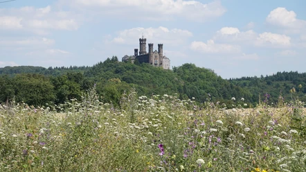 Blick auf die Schaumburg