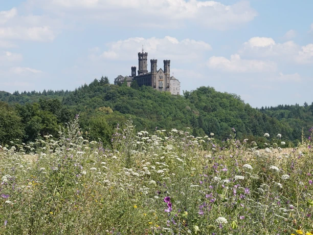 Blick auf die Schaumburg