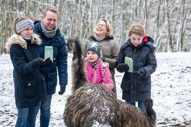 Tiere füttern im Wild- und Erlebnispark Daun