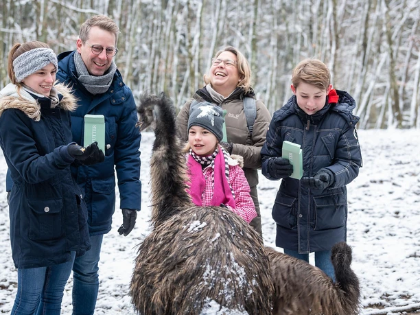 Tiere füttern im Wild- und Erlebnispark Daun