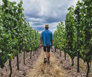 Weingut Schuster Oberemmel (01)