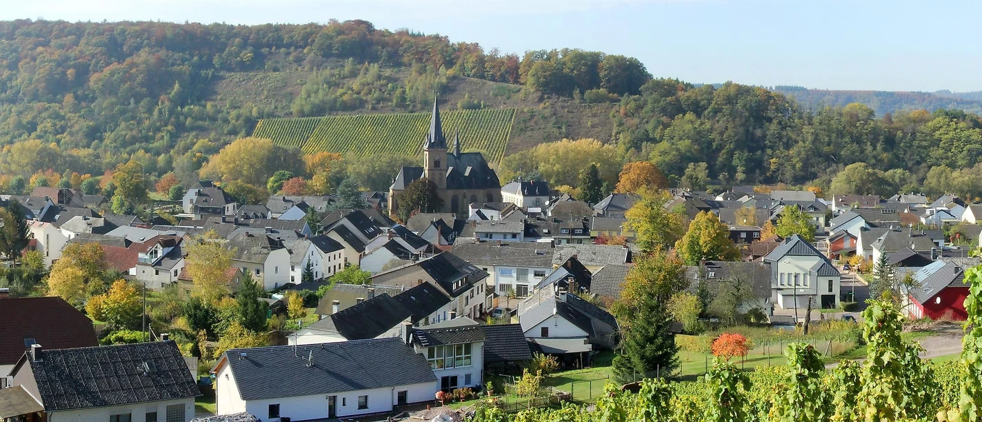 Wiltingen Panoramablick Wiltingen Panoramablick