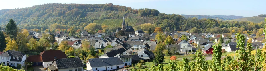 Wiltingen Panoramablick