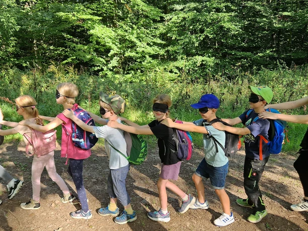 Waldspektakel, finde den Weg mit geschloss. Augen