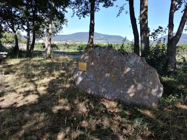 Gedenkstein Thingstuhl