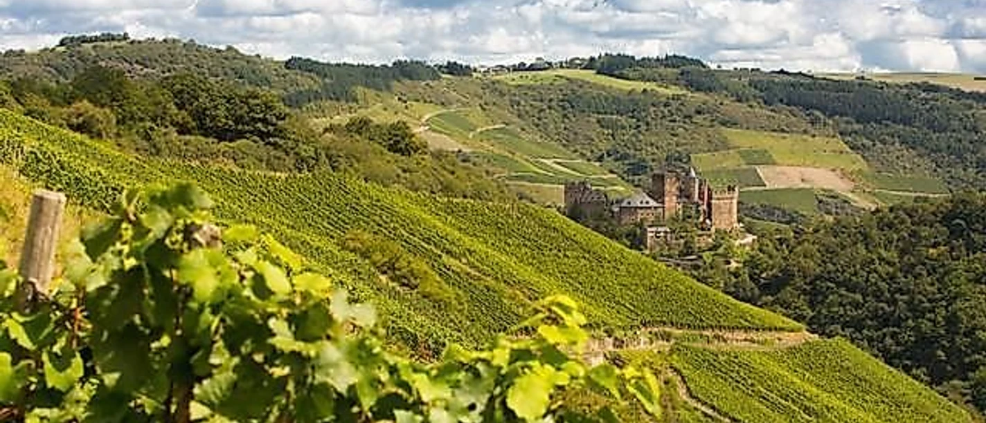 Weinberg