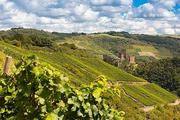 Weinberg