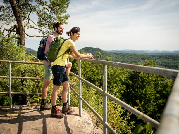 Ausblick vom Winschertfelsen über den Pfälzerwald