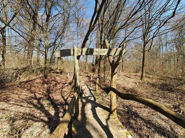 Brücke beim Hetsche Maar