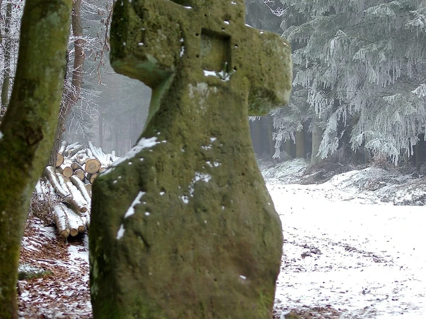 Fraubillenkreuz im Winterwald