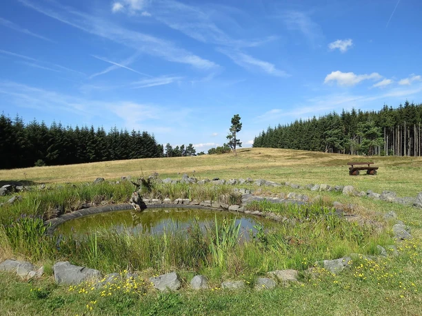 Biotop Heidetümpel auf dem Kindgen Biotop Heidetümpel auf dem Kindgen