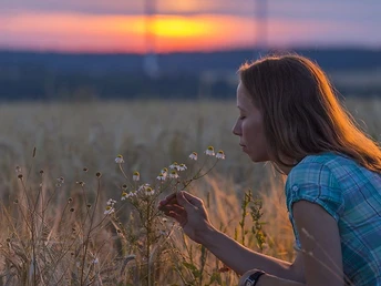 Wiesen auf der Traumschleife Der Bietzerberger
