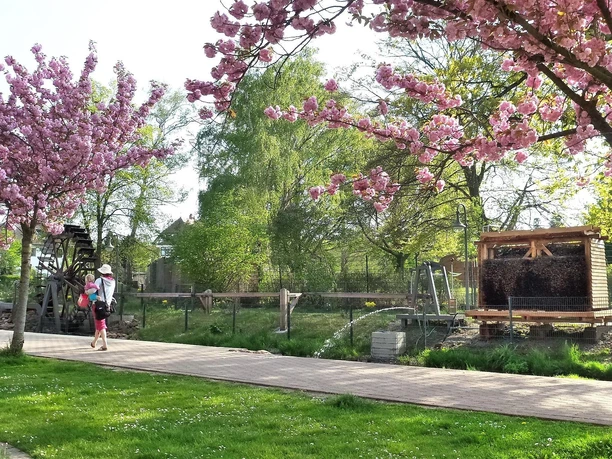 Wasserrad mit Minisaline