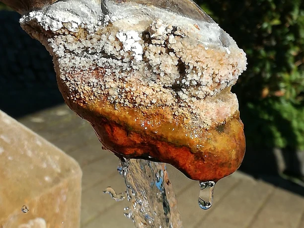 Der Wasserspeier
