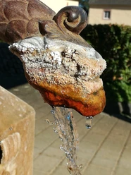 Der Wasserspeier