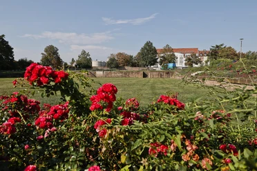 Bürgerpark Kanalhafen Natur