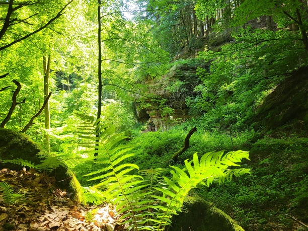 Blick auf den Kuhfelsen im Clauser Tal