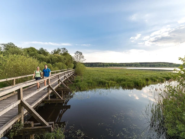 Brücke am Dreifelder Weiher