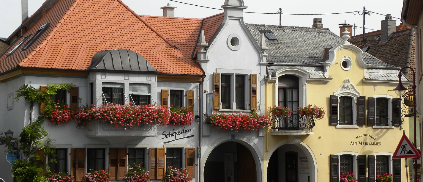 Restaurant Alt Maikammer