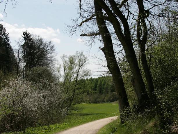 Kalkeifel-Radweg