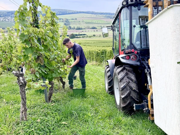 Weingut Alois Kirchen Konz-Oberemmel (03)
