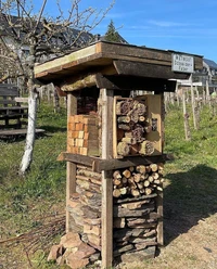 Lebensturm Weingut Schneider-Faber
