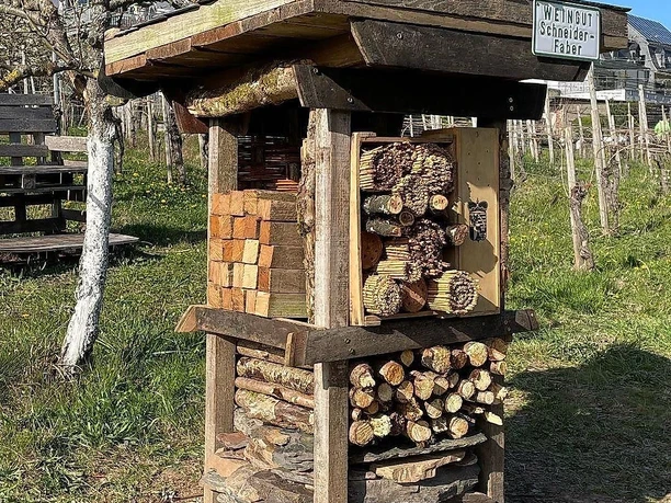 Lebensturm Weingut Schneider-Faber Lebensturm Weingut Schneider-Faber
