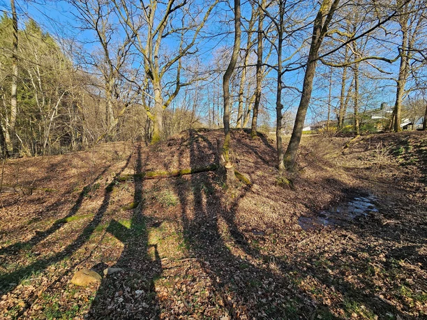 Anicht Motte