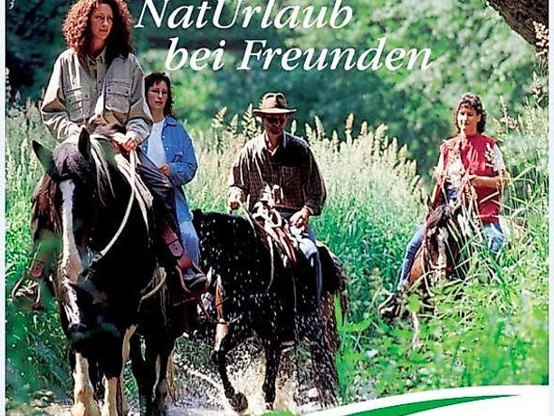 Westerwald-Taunus zu Pferd