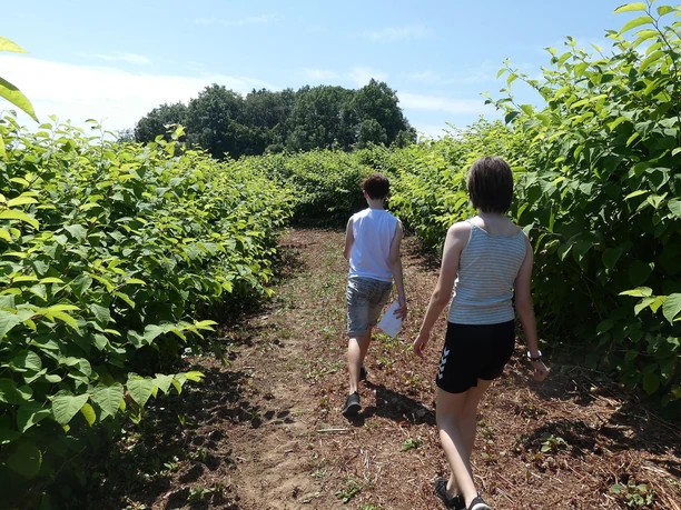 Auf dem Weg durch das Naturlabyrinth