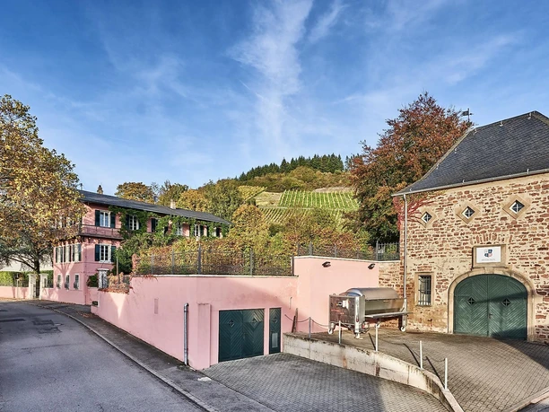 Weingut Reverchon (02)