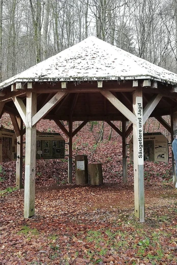 Säugetiere und Jagd (1)