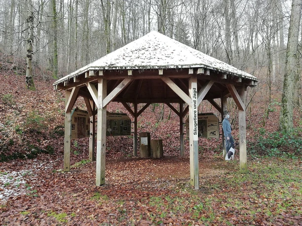 Säugetiere und Jagd (1)