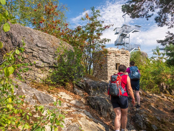 Aussichtsturm auf dem Spitzen Stein