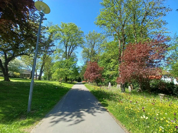 Blick ins Rosengärtchen