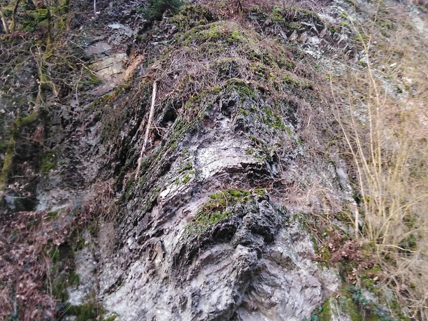 Geotop Felsfaltung bei Hövels