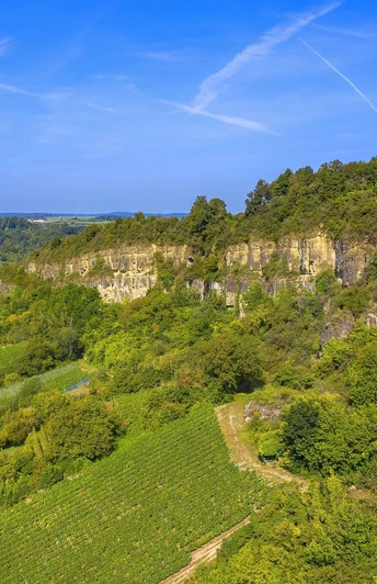Leuchtpunkt Nitteler Fels (1)