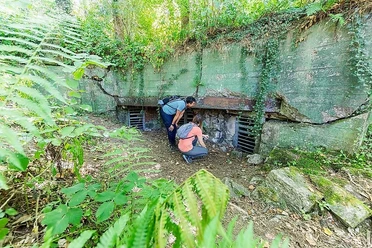 Bunker