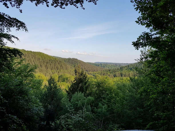 Blick ins Clauser Tal