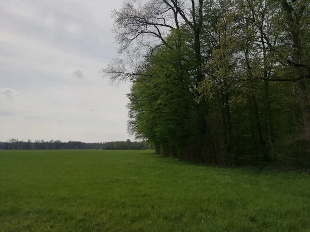 Naturfreundewanderweg 2 - Ausblick von betoniertem Wegstück