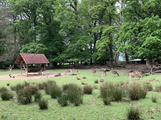 Wildpark